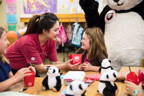 Panda Daycare & Creative School .
